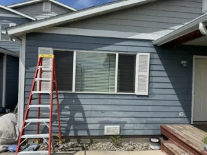 dobrowski-built-exterior-painting